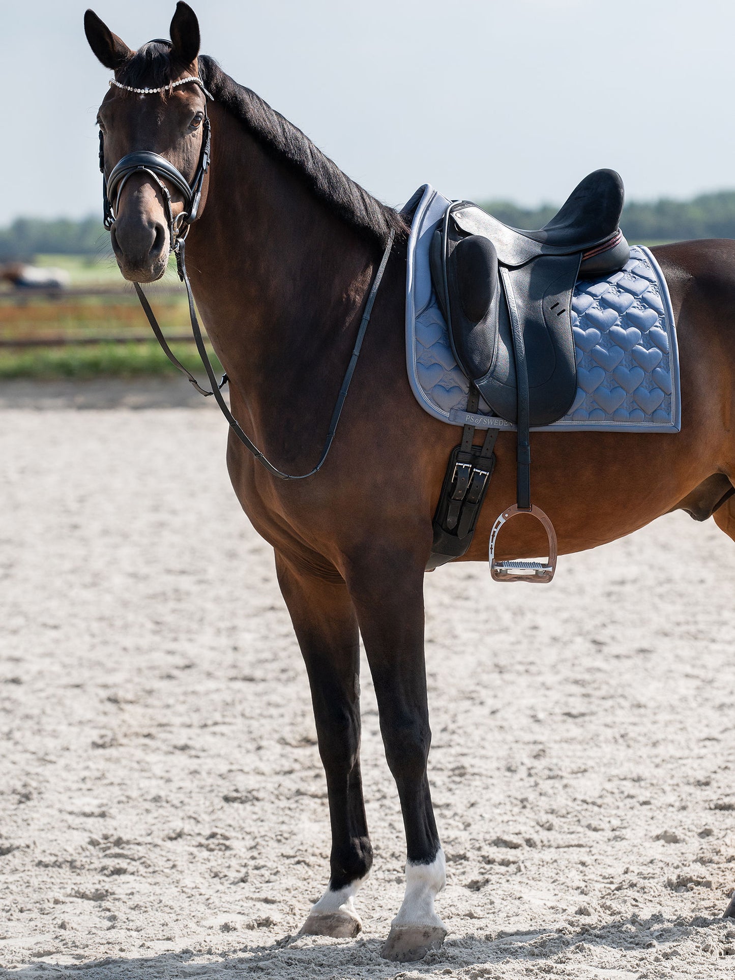 PS of Sweden Heart Saddlepad - Dressage - Mist Blue