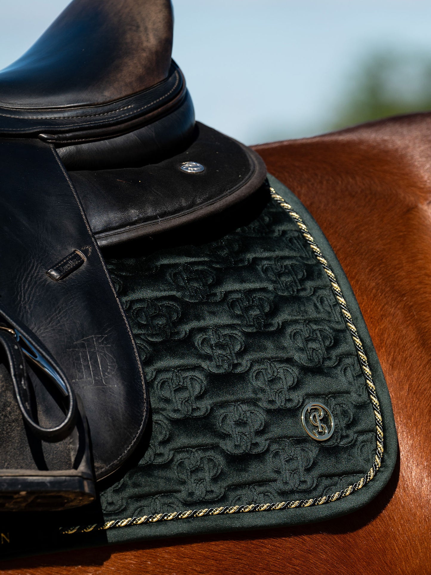 PS of Sweden Velvet Monogram Saddlepad - Dressage - Midnight Green