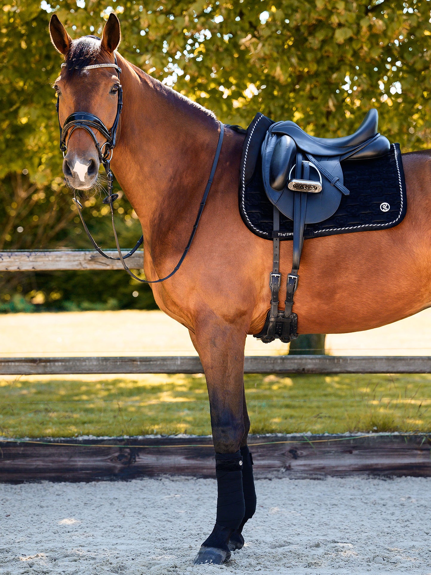 PS of Sweden Velvet Monogram Saddlepad - Dressage - Black