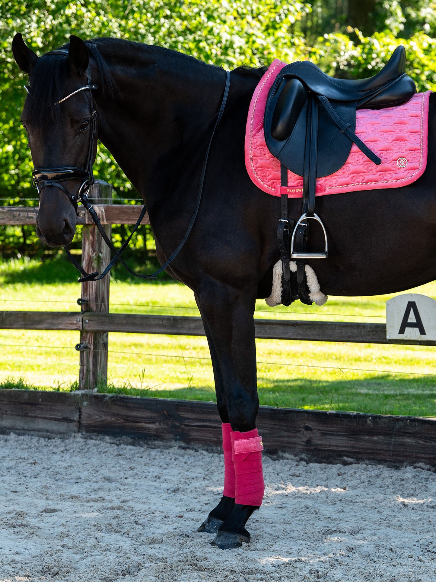 PS of Sweden Velvet Monogram Saddlepad - Dressage - Scarlet Pink