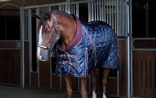 Catago Stable Rug - 500g