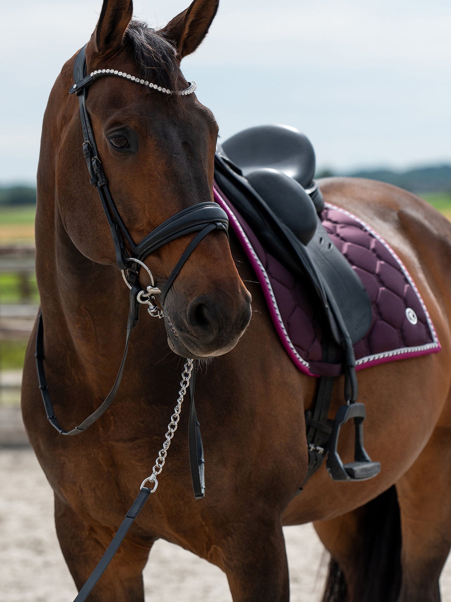 PS of Sweden Signature Saddlepad - Dressage - Plum