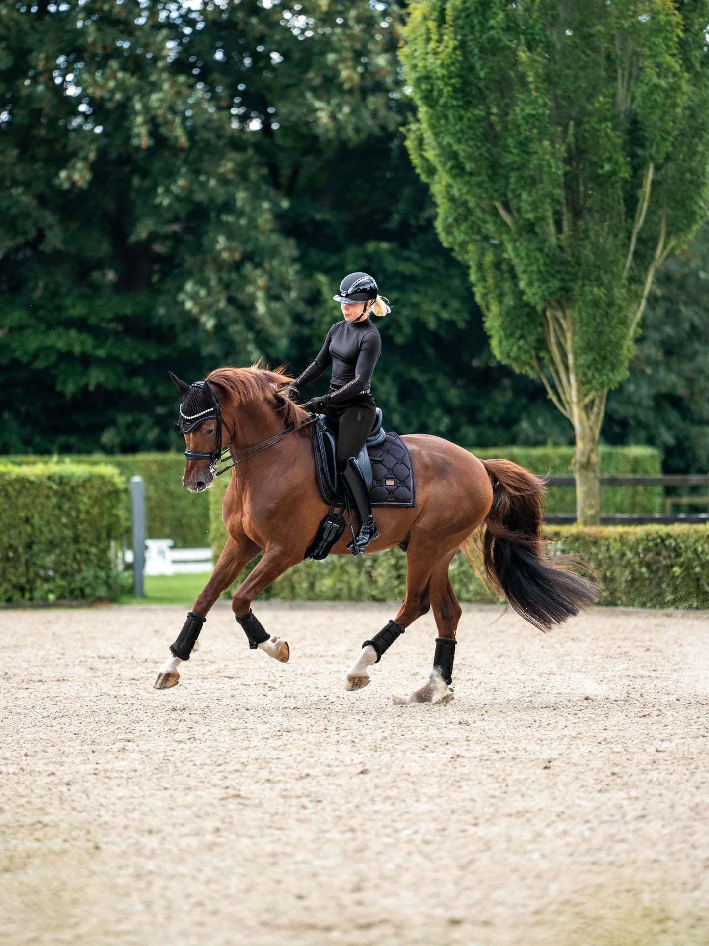 Equestrian Stockholm - Dark Ocean Dressage Saddlepad