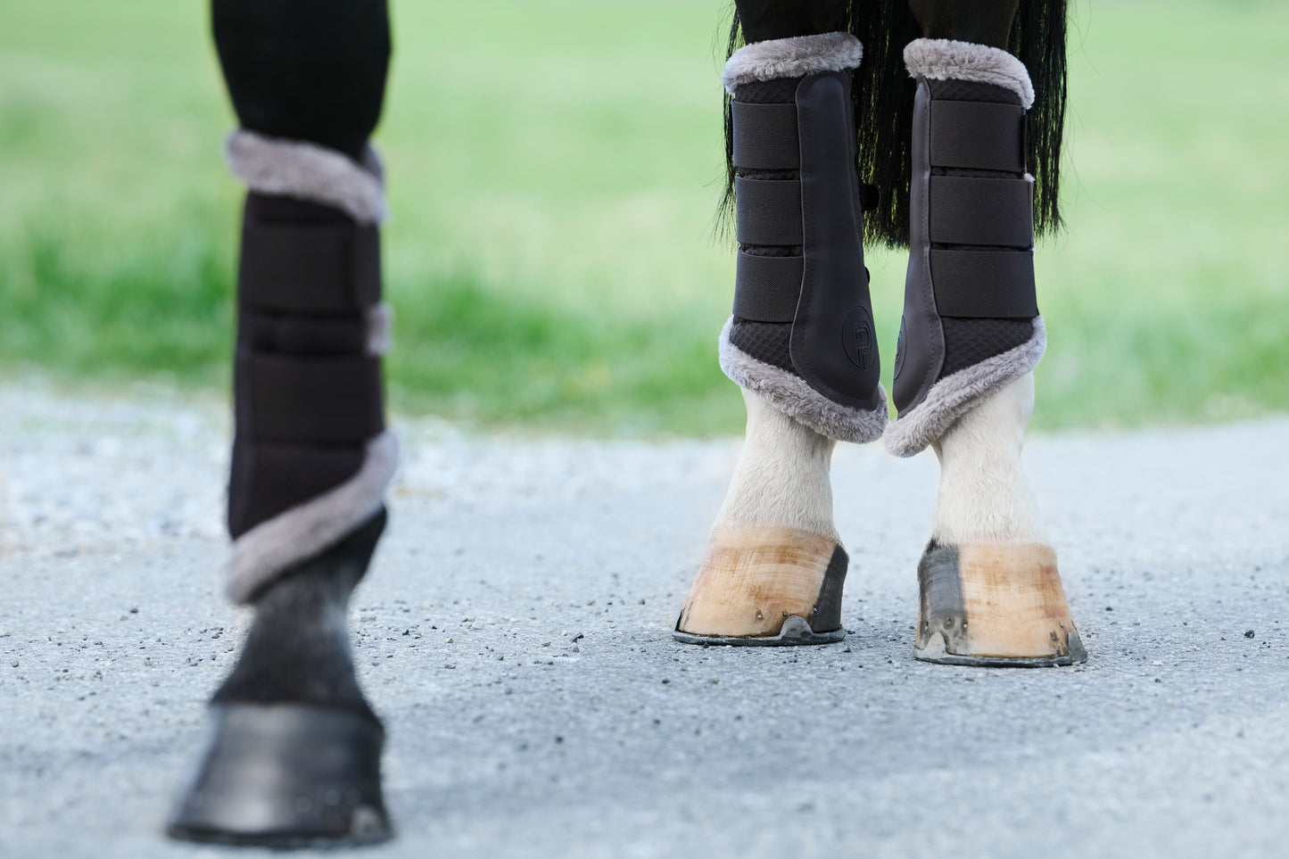 Eskadron Platinum - Mesh Faux fur Boots