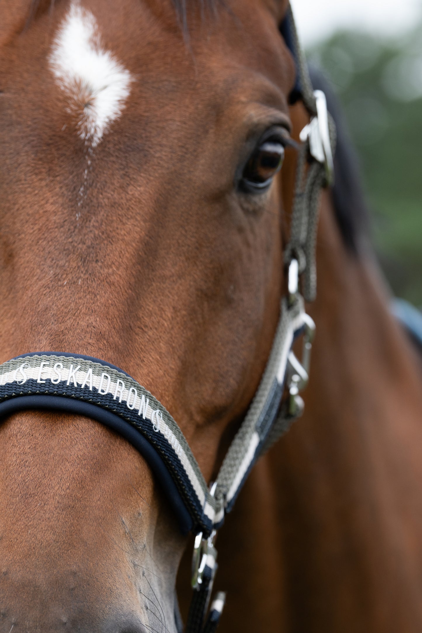 Eskadron Classic Sports   - Doublepin headcollar