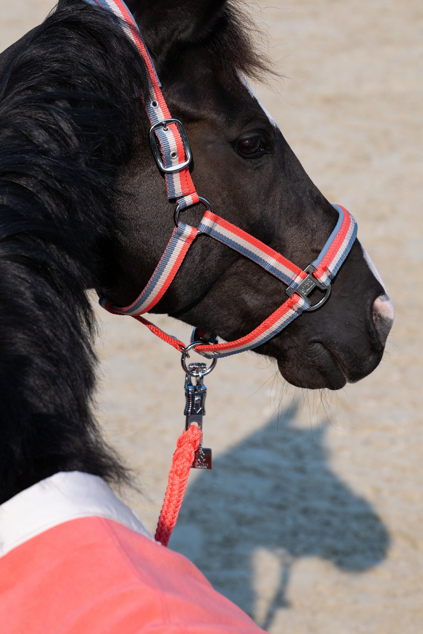 Eskadron Classic Sports   - Doublepin headcollar